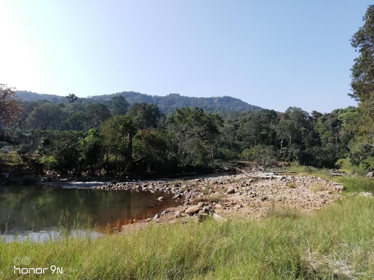 Coorg River Rock Camping Madikeri Kültér fotó