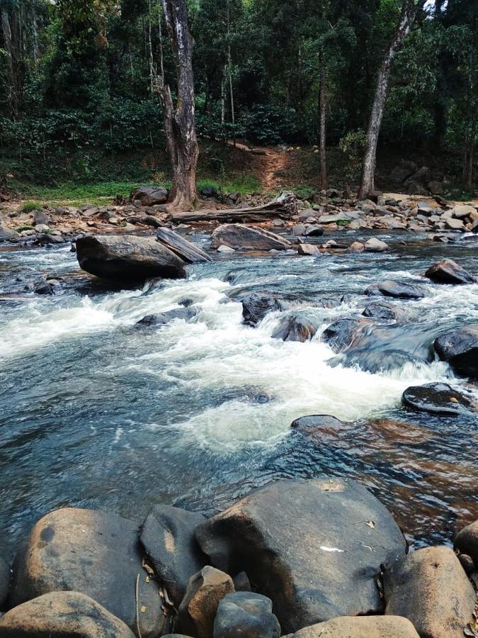 Coorg River Rock Camping Madikeri Kültér fotó