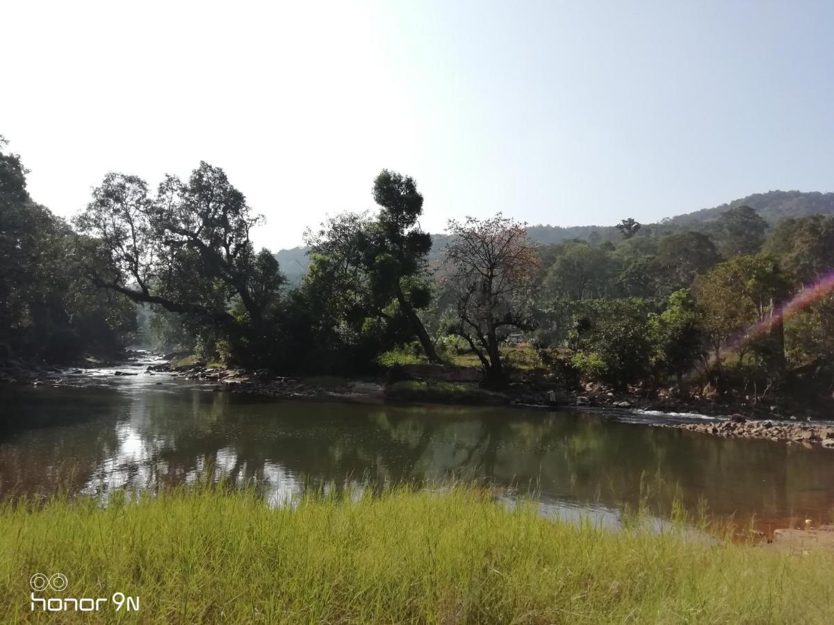 Coorg River Rock Camping Madikeri Kültér fotó