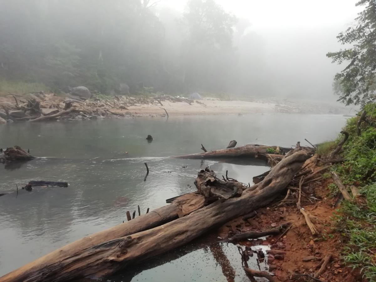 Coorg River Rock Camping Madikeri Kültér fotó