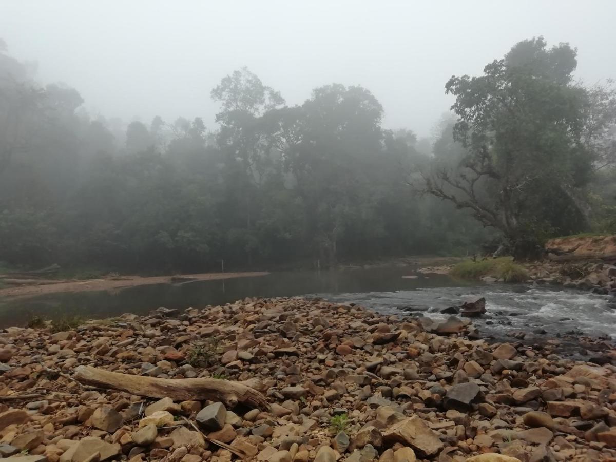 Coorg River Rock Camping Madikeri Kültér fotó