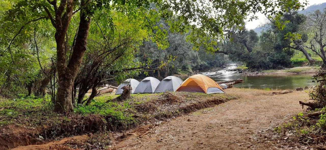 Coorg River Rock Camping Madikeri Kültér fotó
